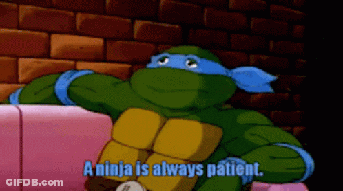 A Teenage Mutant Ninja Turtle Says " A Ninja Is Always Patient " In A Cartoon GIF
