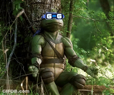 A Teenage Mutant Ninja Turtle Wearing A Pair Of Sunglasses With The Letter G On Them GIF