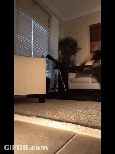 A Telescope Sits On A Tripod In A Living Room Next To A Couch GIF