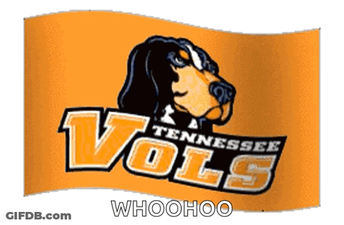 A Tennessee Vols Flag With A Dachshund On It GIF