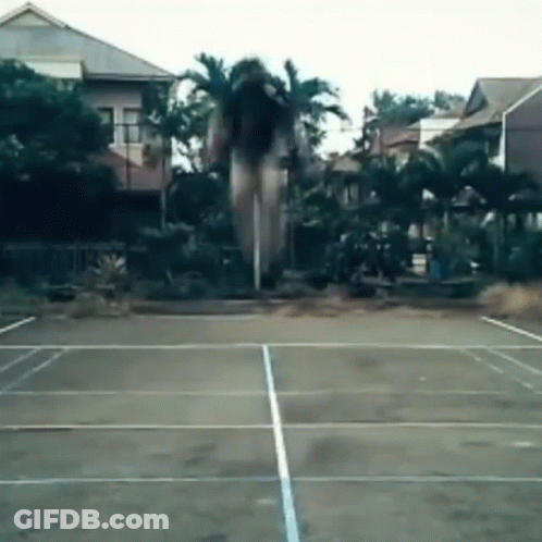 A Tennis Court With Palm Trees In The Background And Houses In The Background GIF