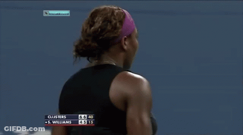 A Tennis Match Between Clusters And S. Williams Is Being Shown GIF