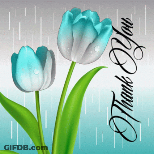 A Thank You Card With A Blue And White Flower GIF