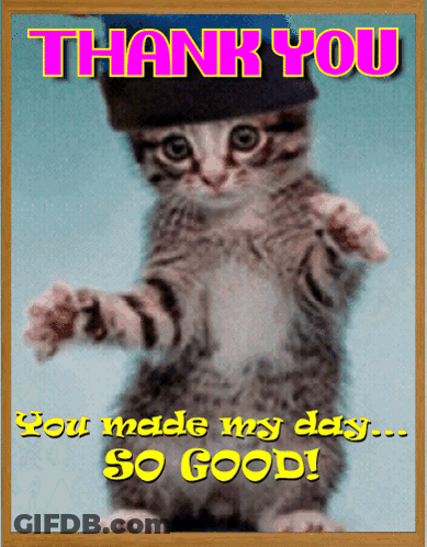 A Thank You Card With A Cat Wearing A Black Hat GIF