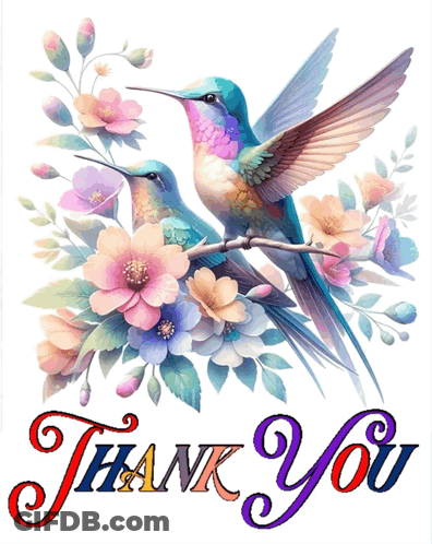 A Thank You Card With A Hummingbird On A Branch GIF