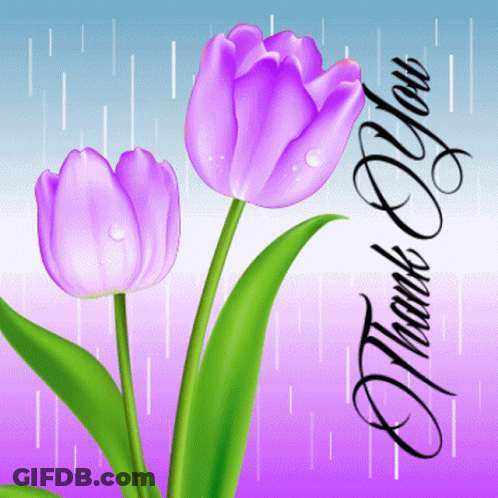 A Thank You Card With Two Purple Tulips And Rain Drops GIF