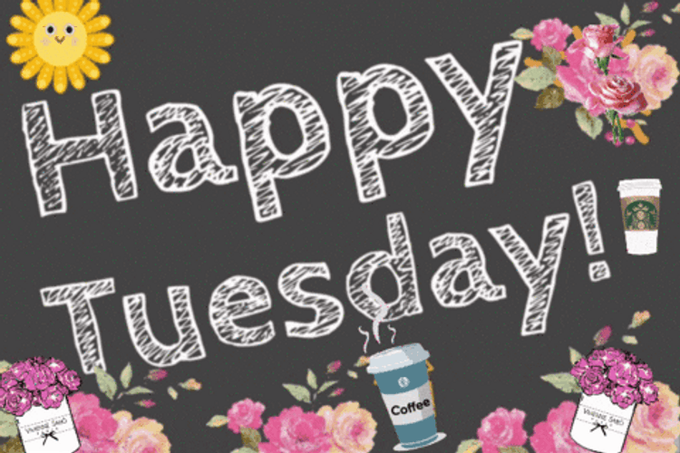 A Thankful Tuesday Everyone GIF
