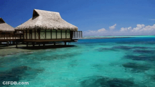 A Thatched Hut Sits In The Middle Of A Body Of Water GIF