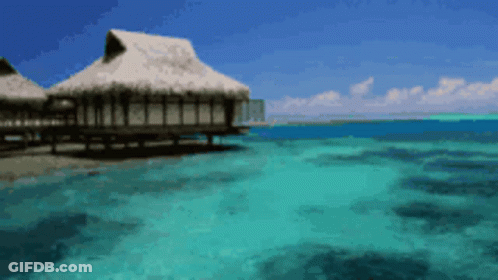 A Thatched Hut Sits On A Dock In The Middle Of The Ocean GIF