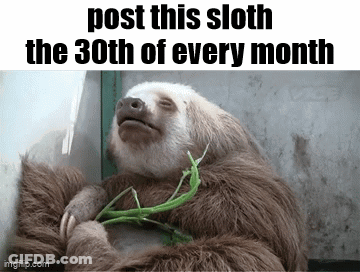 A Three Toed Sloth Is Eating A Green Plant While Laying Down . GIF