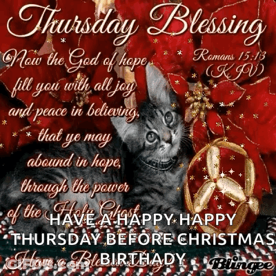 A Thursday Blessing With A Cat And Christmas Decorations GIF