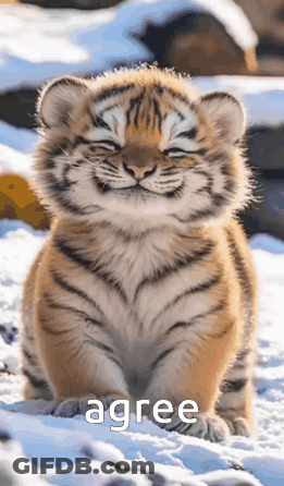 A Tiger Cub Is Sitting In The Snow With Its Eyes Closed . GIF