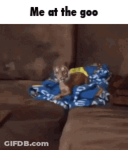 A Tiger Is Sitting On A Couch With A Blue Blanket On It GIF