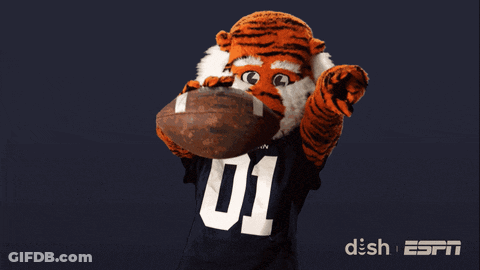 A Tiger Mascot Holding A Football With The Number 01 On It GIF