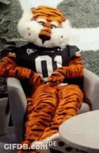A Tiger Mascot Is Sitting In A Chair Wearing A Jersey . GIF