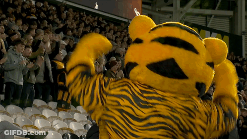 A Tiger Mascot Is Standing In Front Of A Crowd GIF