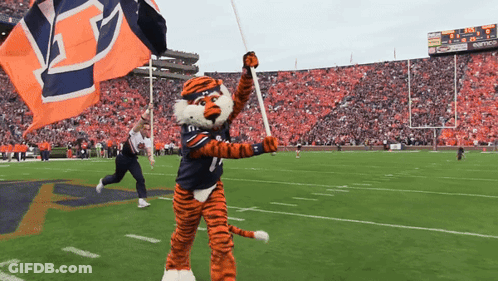 A Tiger Mascot On A Football Field Holding A Flag With The Number 1 On It GIF