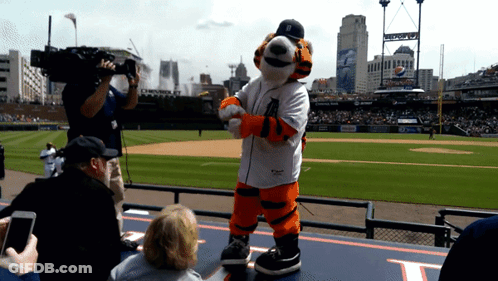 A Tiger Mascot Stands On A Baseball Field With A Cameraman Behind Him GIF