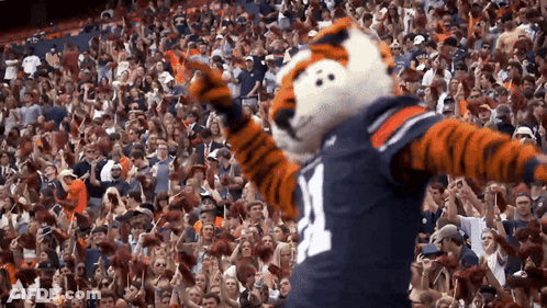 A Tiger Mascot Wearing A Jersey With The Number 14 On It GIF