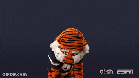 A Tiger Mascot With The Number 01 On His Shirt GIF