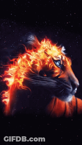 A Tiger 'S Head Is Covered In Flames On A Black Background GIF