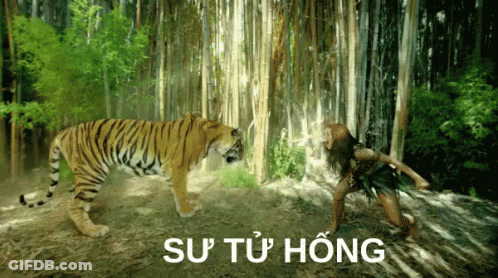 A Tiger Standing Next To A Woman In A Forest With The Words Su Tu Hong Above It GIF