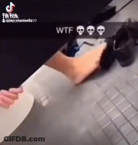 A Tik Tok Video Of A Person Using A Toilet With Skulls On It GIF