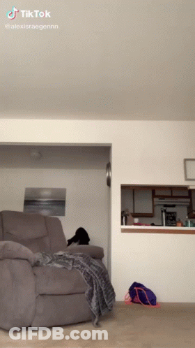 A Tiktok Video Of A Living Room With A Couch And A Bag GIF