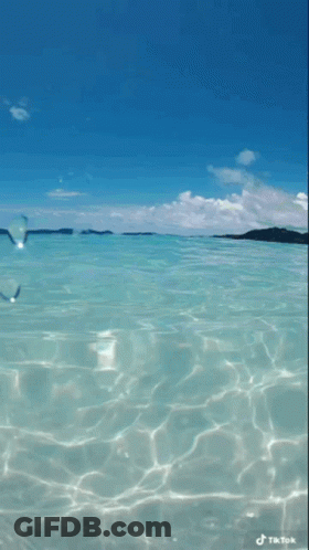 Turquoise Ocean TikTok Video With Blue Sky GIF