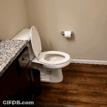 A Toilet In A Bathroom With A Toilet Paper Holder On The Wall GIF