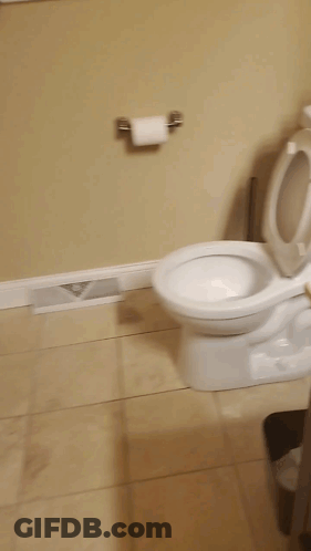 A Toilet In A Bathroom With The Lid Up And A Roll Of Toilet Paper On The Wall GIF