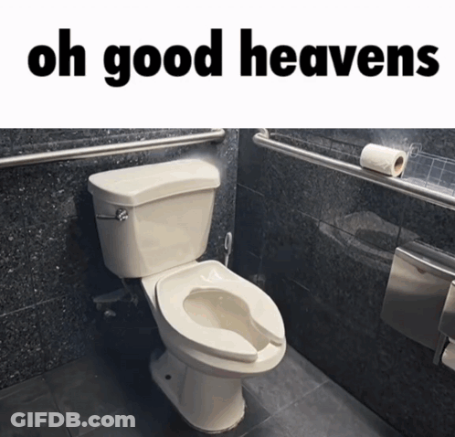 A Toilet In A Bathroom With The Words Oh Good Heavens GIF
