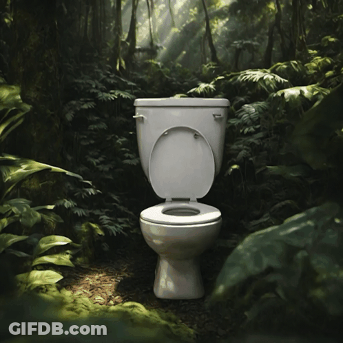 A Toilet In A Lush Green Forest With The Lid Up GIF