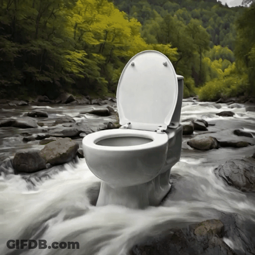 A Toilet Sits In The Middle Of A River With The Lid Up GIF