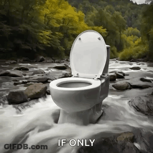 A Toilet Sits In The Middle Of A River With The Words If Only Written Below It GIF