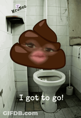 A Toilet With A Picture Of A Woman 'S Face On It And The Words I Got To Go GIF