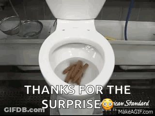 A Toilet With Cinnamon Sticks Coming Out Of It Says Thanks For The Surprise GIF