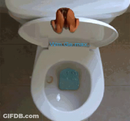 A Toilet With The Lid Open And The Word Wm.go.max On The Seat GIF