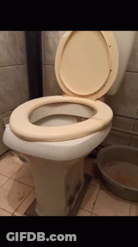 A Toilet With The Lid Up In A Bathroom Next To A Bowl GIF