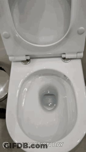 A Toilet With The Words " Vacation Day " On It GIF