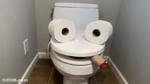 A Toilet With Two Rolls Of Toilet Paper On It 'S Seat GIF