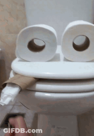 A Toilet With Two Rolls Of Toilet Paper On Top Of It GIF