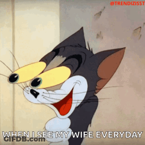 A Tom And Jerry Cartoon With The Caption When I See My Wife Everyday GIF