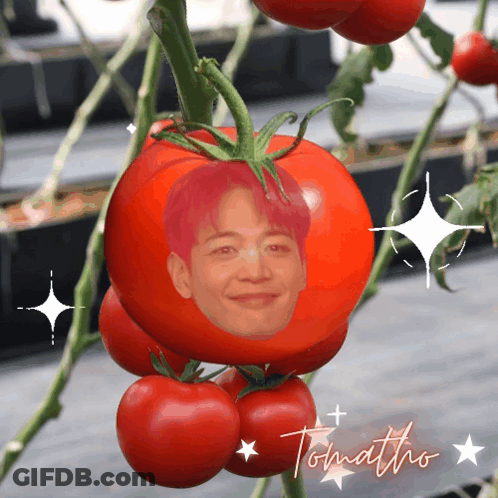 A Tomato With A Picture Of A Man 'S Face On It And The Word Tomato On It GIF