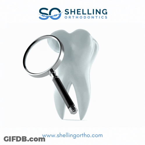 A Tooth Is Being Examined By A Magnifying Glass With The Website Www.shellingortho.com Underneath GIF