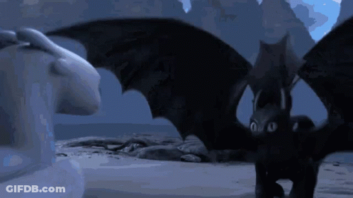 A Toothless And Light Fury From How To Train Your Dragon GIF