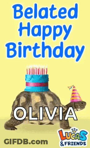 A Tortoise Wearing A Party Hat And A Cake On Its Head With The Name Olivia On It GIF