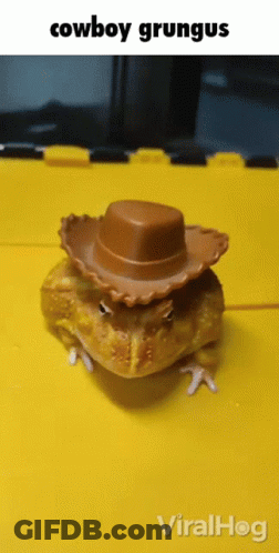 A Toy Frog Wearing A Cowboy Hat With The Words Cowboy Grungus Above It GIF