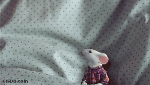 A Toy Mouse Is Sitting On A Bed With Polka Dots GIF