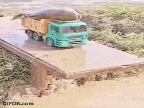 A Toy Truck With A Fish On Top Of It GIF